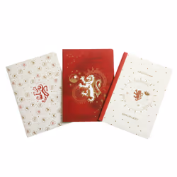 ISBN Harry Potter: Gryffindor Constellation Sewn Notebook Collection (Set of 3), Art & design, Anglais, Livre broché, 64 ...