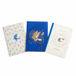 ISBN Harry Potter: Ravenclaw Constellation Sewn Notebook Collection (Set of 3), Art & design, Anglais, Livre broché, 64 pages
