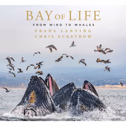 ISBN Bay of Life, Animaux, Anglais, Couverture rigide, 240 pages