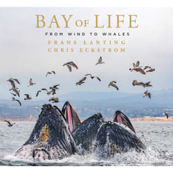 ISBN Bay of Life livre Animaux Anglais Couverture rigide
