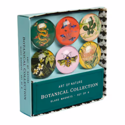 ISBN 9781647222024, Anglais