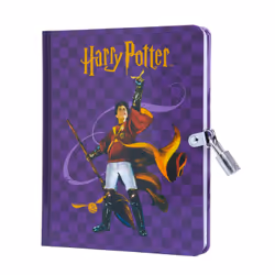 ISBN Harry Potter: Quidditch Lock &amp; Key Diary, Art &amp; design, Anglais, Couverture rigide, 192 pages