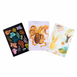 ISBN Art of Nature: Under the Sea Sewn Notebook Collection (Set of 3), Science & nature, Anglais, Livre broché, 64 pages