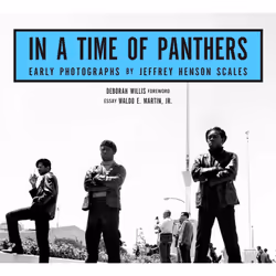 ISBN In A Time of Panthers, société, Anglais, Couverture rigide, 104 pages