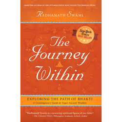 ISBN The Journey Within, Anglais, Livre de poche, 320 pages