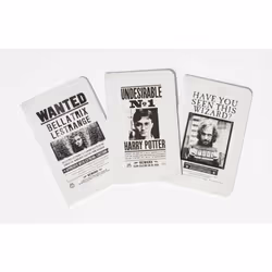 ISBN Harry Potter: Wanted Posters Pocket Notebook Collection (Set of 3), Art & design, Anglais, Livre broché, 64 pages