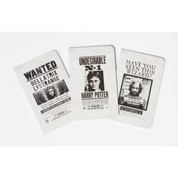 ISBN Harry Potter: Wanted Posters Pocket Notebook Collection (Set of 3) livre Art & design Anglais