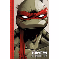 ISBN Teenage Mutant Ninja Turtles: The IDW Collection Volume 1, Anglais, Livre broché, 424 pages