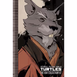 ISBN Teenage Mutant Ninja Turtles: The IDW Collection Volume 2, Anglais, Livre broché, 416 pages