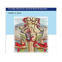 ISBN Neurosurgical Review : For Daily Clinical Use and Oral Board Preparation livre Médical Anglais