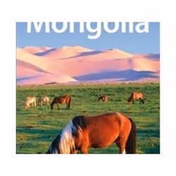 ISBN Mongolia - LP - 5e, Voyage, Anglais, Livre broché