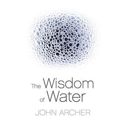 Allen & Unwin The Wisdom of Water livre Santé, esprit et corps Anglais