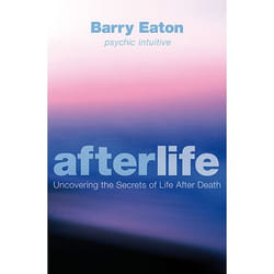 Allen & Unwin Afterlife livre Santé, esprit et corps Anglais
