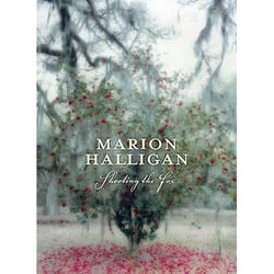 Allen & Unwin Shooting the Fox livre fiction litéraire Anglais