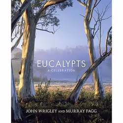 Allen &amp; Unwin Eucalypts, histoire, Anglais, Livre broché, 352 pages