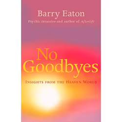 Allen & Unwin No Goodbyes, Santé, esprit et corps, Anglais, Livre broché, 304 pages