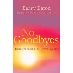 Allen & Unwin No Goodbyes livre Santé, esprit et corps Anglais