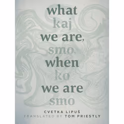 UBC Press What We Are, When We Are, Livre broché, 108 pages