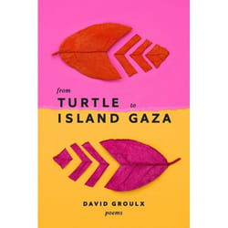 UBC Press From Turtle Island to Gaza livre