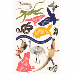 ISBN How to Find Your Spirit Animal, Livre broché, 208 pages