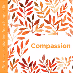 ISBN Compassion, Couverture rigide, 128 pages