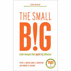 Allen & Unwin The small BIG, Business & finance, Anglais, Livre broché, 304 pages