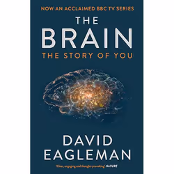 Allen & Unwin The Brain, Science & nature, Anglais, Livre broché, 256 pages