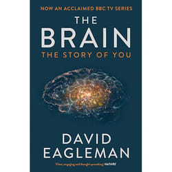 Allen & Unwin The Brain livre Science & nature Anglais