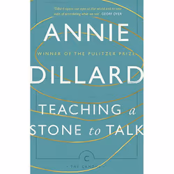 Allen &amp; Unwin Teaching a Stone to Talk, histoire, Anglais, Livre broché, 208 pages