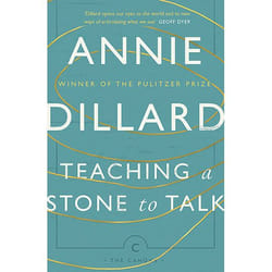 Allen & Unwin Teaching a Stone to Talk livre histoire Anglais
