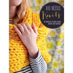 ISBN Big Needle Knits Livre de poche