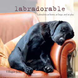 ISBN Labradorable, Anglais, Couverture rigide, 64 pages