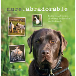 ISBN Morelabradorable, Anglais, Couverture rigide, 64 pages