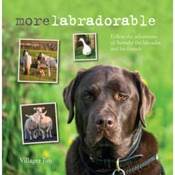 ISBN Morelabradorable Couverture rigide