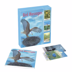 ISBN 9781782496625, Anglais, 64 pages