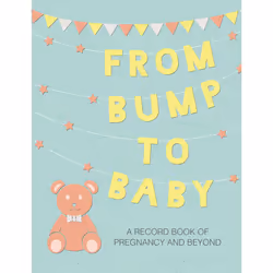 ISBN From Bump to Baby, Littérature, Anglais, Couverture rigide, 96 pages