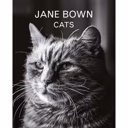 Allen &amp; Unwin Jane Bown: Cats, Livre à offrir, Anglais, Couverture rigide, 160 pages