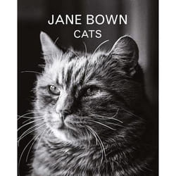 Allen & Unwin Jane Bown: Cats livre Livre à offrir Anglais Couverture rigide
