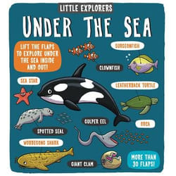 Allen & Unwin Little Explorers: Under the Sea livre histoire Anglais Couverture rigide