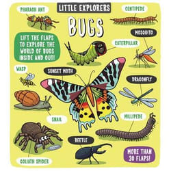 Allen & Unwin Little Explorers: Bugs livre histoire Anglais Couverture rigide
