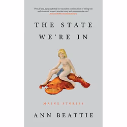Allen & Unwin The State We're In, Fiction, Anglais, 224 pages