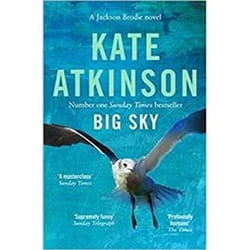 ISBN Big Sky : Jason Brodie livre Roman Anglais