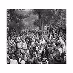 ISBN Networks of Power in Palestine : Family, Society and Politics since the Nineteenth Century, Education, Anglais, Couvertu ...