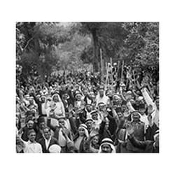 Networks of Power in Palestine - [Livre en VO]