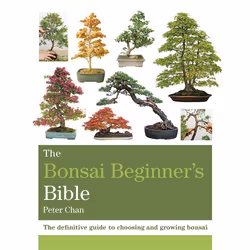 Hachette UK The Bonsai Beginner's Bible, Anglais, Livre broché, 320 pages