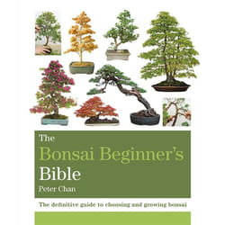 Hachette UK The Bonsai Beginner's Bible