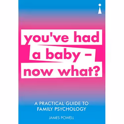 ISBN A Practical Guide to Family Psychology, Livre broché, 224 pages
