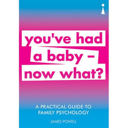 ISBN A Practical Guide to Family Psychology livre