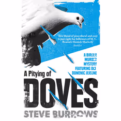 ISBN A Pitying of Doves, fiction litéraire, Anglais, Livre broché, 384 pages