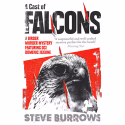 ISBN A Cast of Falcons, fiction litéraire, Anglais, Livre broché, 384 pages